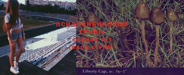 дурь Козельск