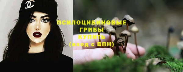 дурь Козельск