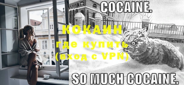 прущие грибы Кодинск