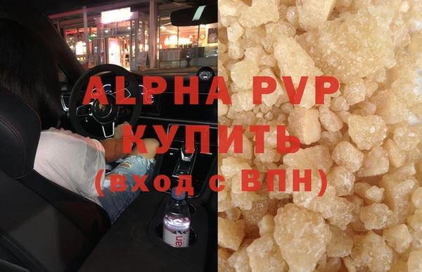 прущие грибы Кодинск