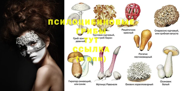 прущие грибы Кодинск