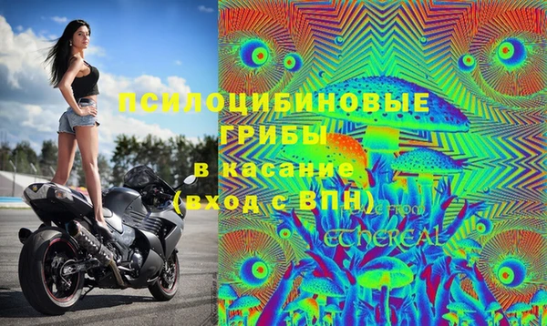 дурь Козельск