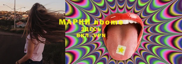 прущие грибы Кодинск