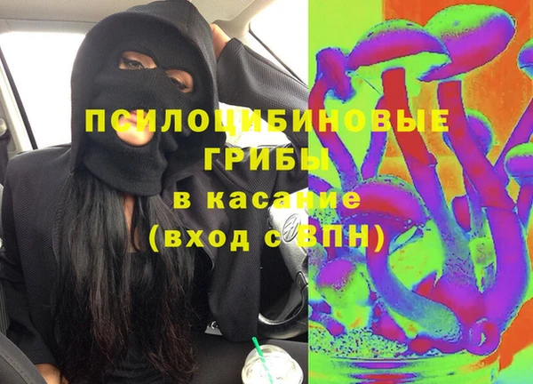 прущие грибы Кодинск