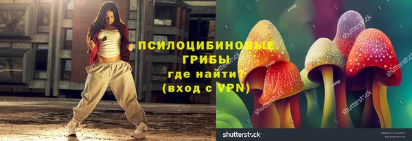 дурь Козельск