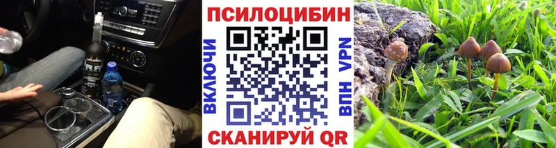 Псилоцибиновые грибы мицелий  Купить где  Бугуруслан 